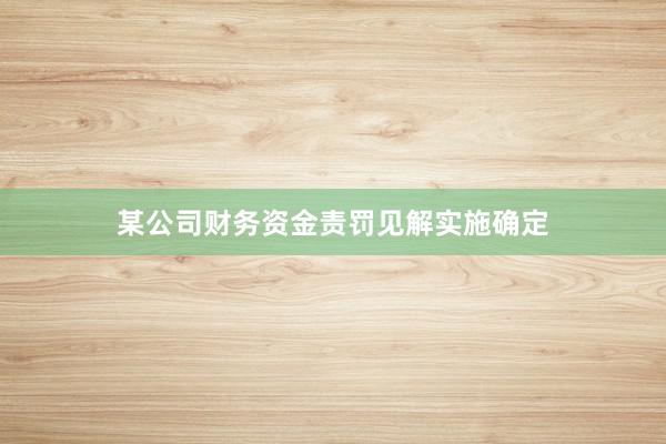 某公司财务资金责罚见解实施确定